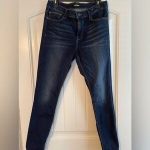 Express Dark Wash Jeggings Style